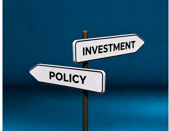 Investment and policy direction for global investors